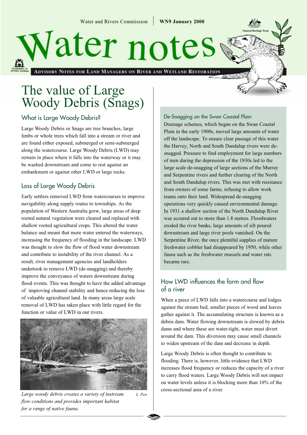 The Value of Large Woody Debris (Snags)