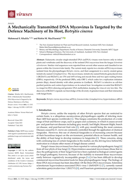 A Mechanically Transmitted DNA Mycovirus Is Targeted by the Defence Machinery of Its Host, Botrytis Cinerea