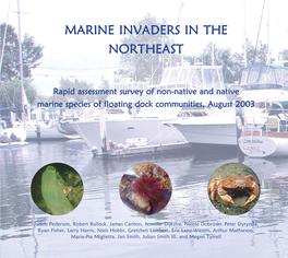 Marine Invaders in the Northeast