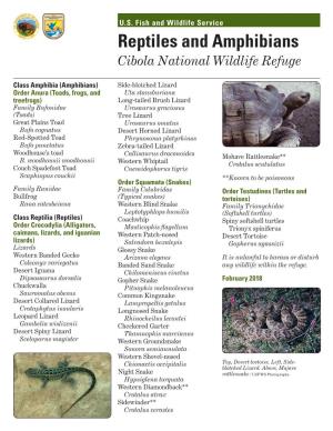 Reptiles and Amphibians Cibola National Wildlife Refuge