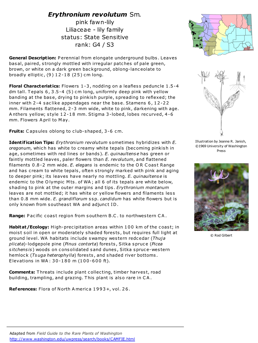 Erythronium Revolutum Sm