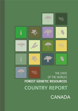 Canada: the State of the World's Forest Genetic Resources