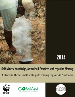 A Study in Three Small-Scale Gold Mining Regions in Suriname