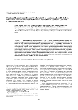 Binding of Recombinant Human Cytokeratin 19 to Laminin