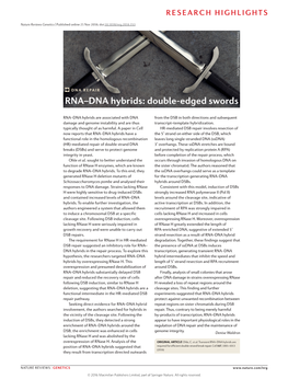 RNA–DNA Hybrids: Double-Edged Swords