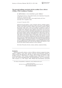 The Peracarid Epifauna Associated with the Ascidian Pyura Chilensis (Molina, 1782) (Ascidiacea: Pyuridae)