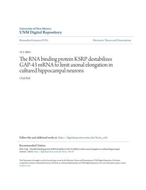 The RNA Binding Protein KSRP Destabilizes GAP-43 Mrna to Limit Axonal Elongation in Cultured Hippocampal Neurons Clark Bird