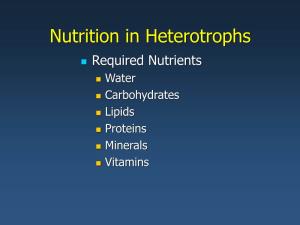 Nutrition in Heterotrophs