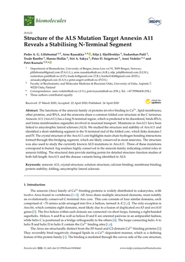 Structure of the ALS Mutation Target Annexin A11 Reveals a Stabilising N-Terminal Segment