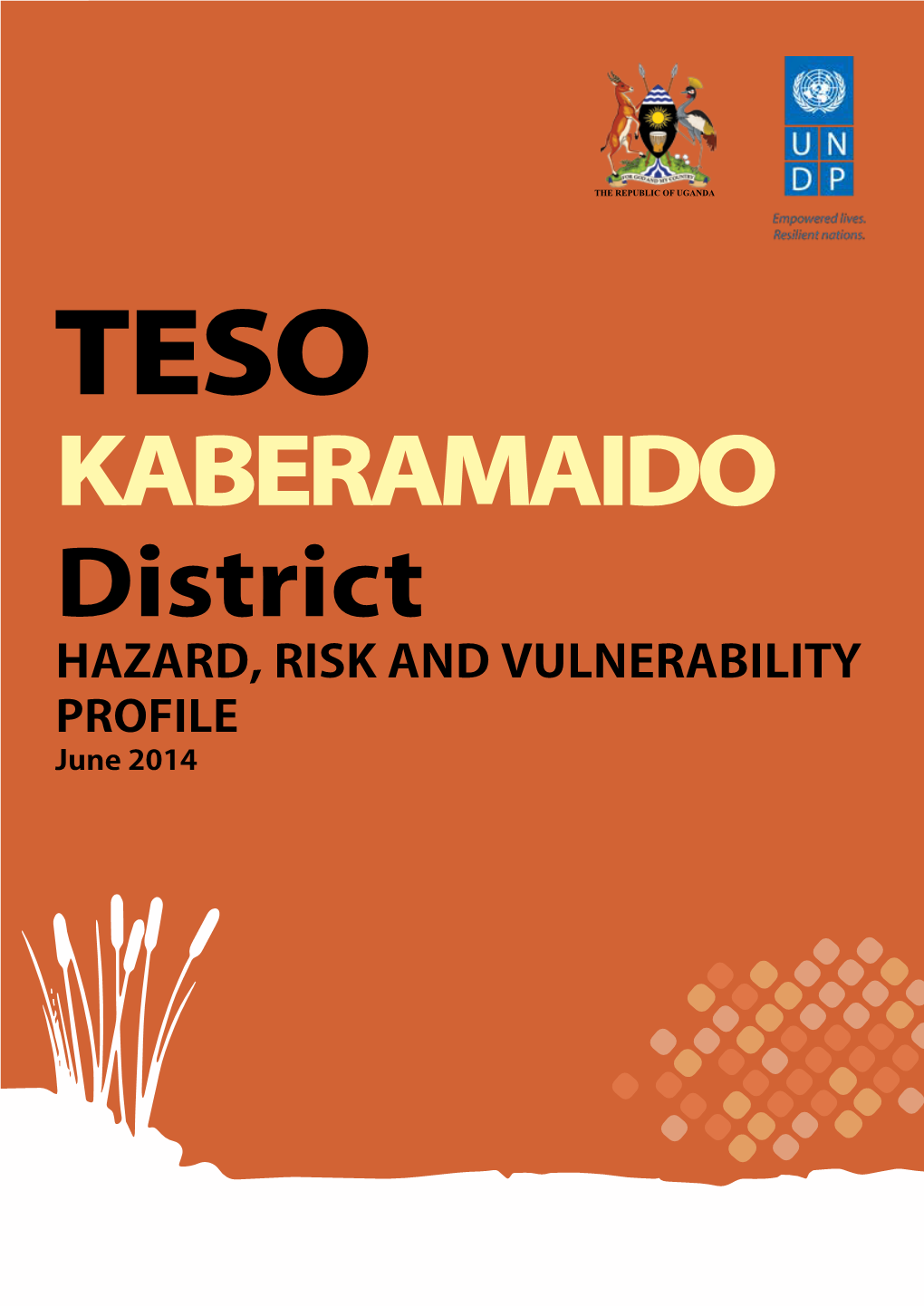 Kaberamaido District Hazard, Risk and Vulnerability Profile June 2014