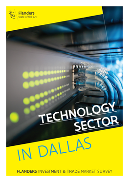 Technology Sector in Dallas Flanders Investment & Trade Market Survey