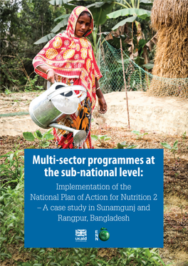 Multi-Sector Programmes at the Sub-National Level