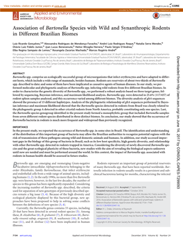 Association of Bartonella Species with Wild and Synanthropic Rodents in Different Brazilian Biomes