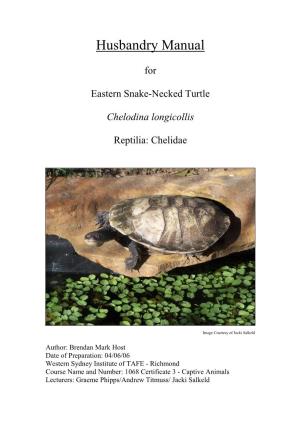 Eastern Snake-Necked Turtle