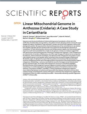 Linear Mitochondrial Genome in Anthozoa (Cnidaria): a Case Study in Ceriantharia Received: 11 February 2019 Sérgio N