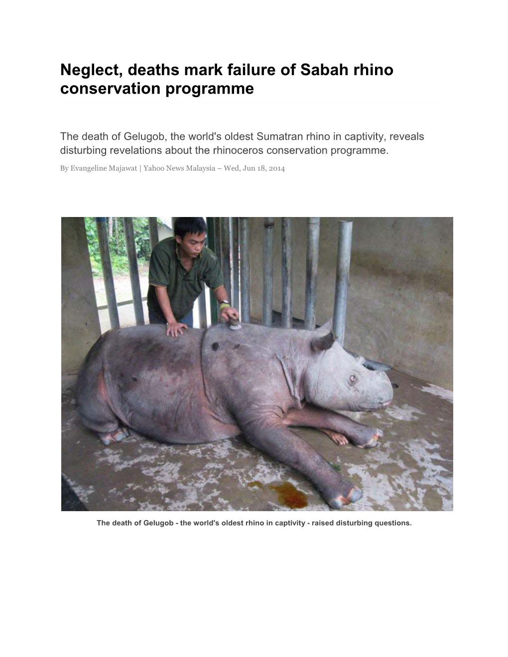 Neglect, Deaths Mark Failure of Sabah Rhino Conservation Programme