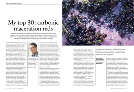Carbonic Maceration Reds