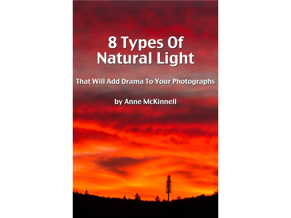 8 Types of Natural Light That Will Add Drama to Your Photographs