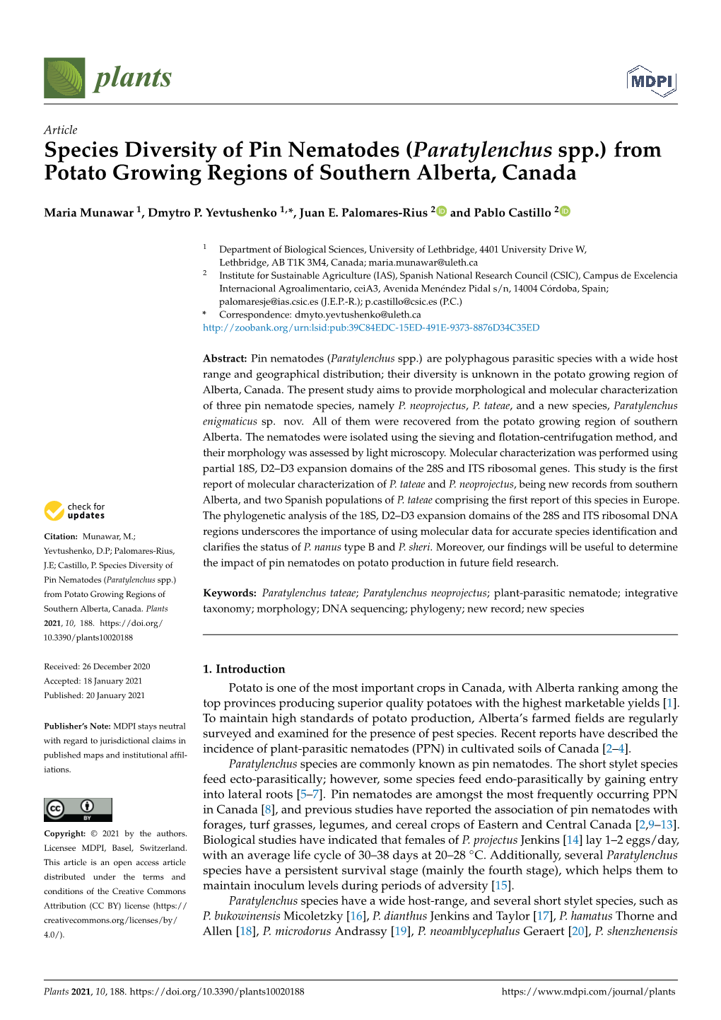 Species Diversity of Pin Nematodes (Paratylenchus Spp.) from Potato ...