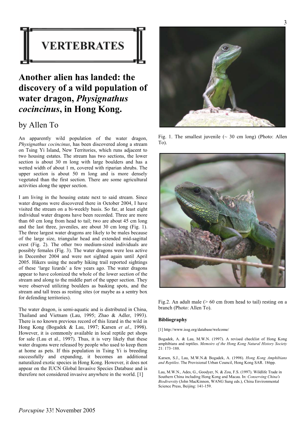 Another Alien Has Landed: the Discovery of a Wild Population of Water Dragon, Physignathus Cocincinus, in Hong Kong. by Allen To