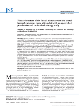 Fine Architecture of the Fascial Planes Around the Lateral Femoral Cutaneous Nerve at Its Pelvic Exit: an Epoxy Sheet Plastination and Confocal Microscopy Study