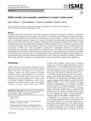 Stable Aerobic and Anaerobic Coexistence in Anoxic Marine Zones