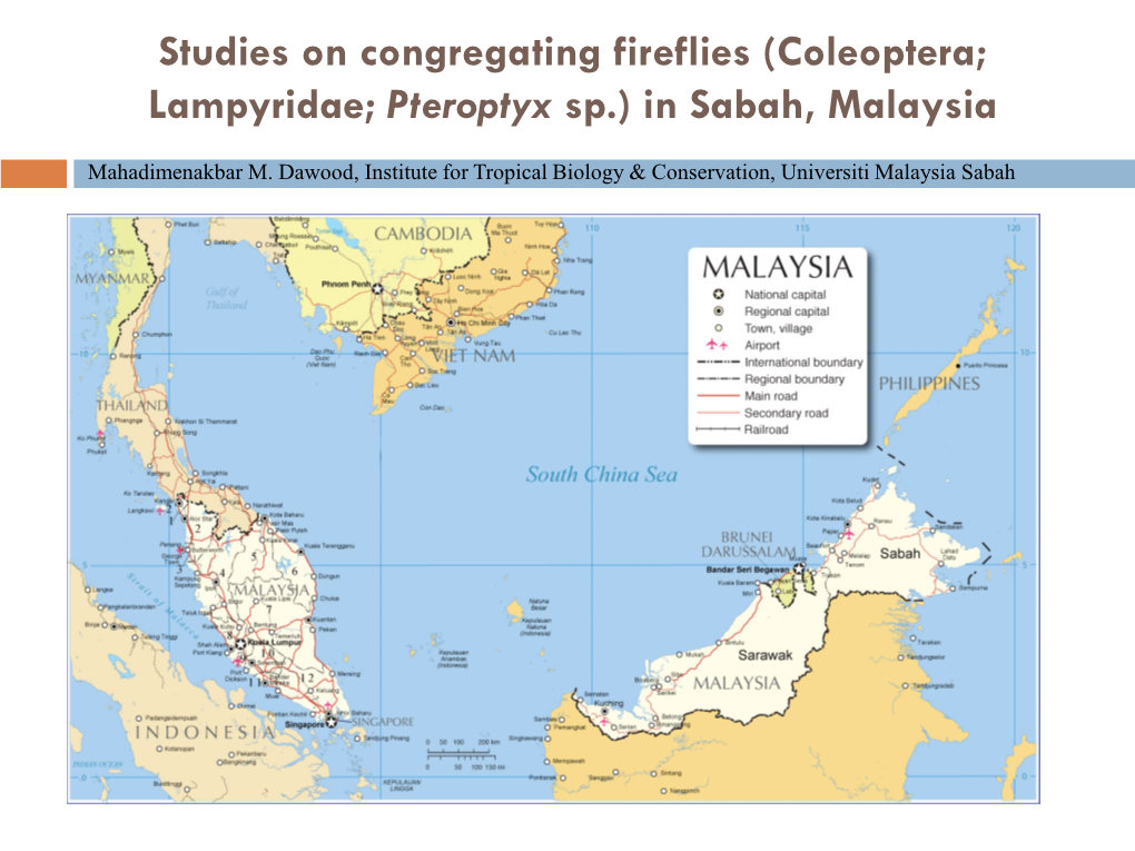 (Coleoptera; Lampyridae; Pteroptyx Sp.) in Sabah, Malaysia