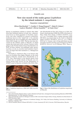 New Size Record of the Snake Genus Liophidium by the Island Endemic L