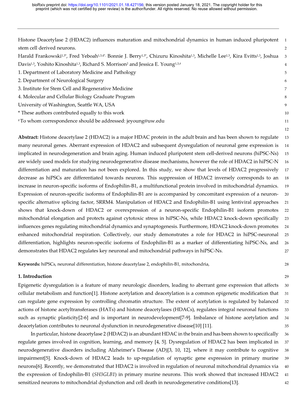 Histone Deacetylase 2 (HDAC2) Influences Maturation and Mitochondrial Dynamics in Human Induced Pluripotent 1 Stem Cell Derived Neurons