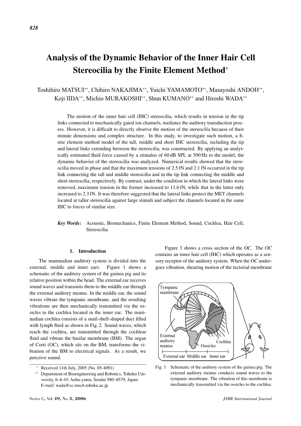 Analysis of the Dynamic Behavior of the Inner Hair Cell Stereocilia by the Finite Element Method∗
