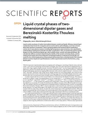 Liquid Crystal Phases of Two-Dimensional Dipolar Gases and Berezinskii-Kosterlitz-Thouless Melting