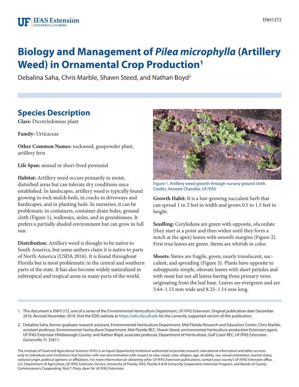 Biology and Management of Pilea Microphylla (Artillery Weed) in Ornamental Crop Production1 Debalina Saha, Chris Marble, Shawn Steed, and Nathan Boyd2