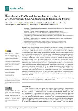 Phytochemical Profile and Antioxidant Activities of Coleus Amboinicus Lour. Cultivated in Indonesia and Poland