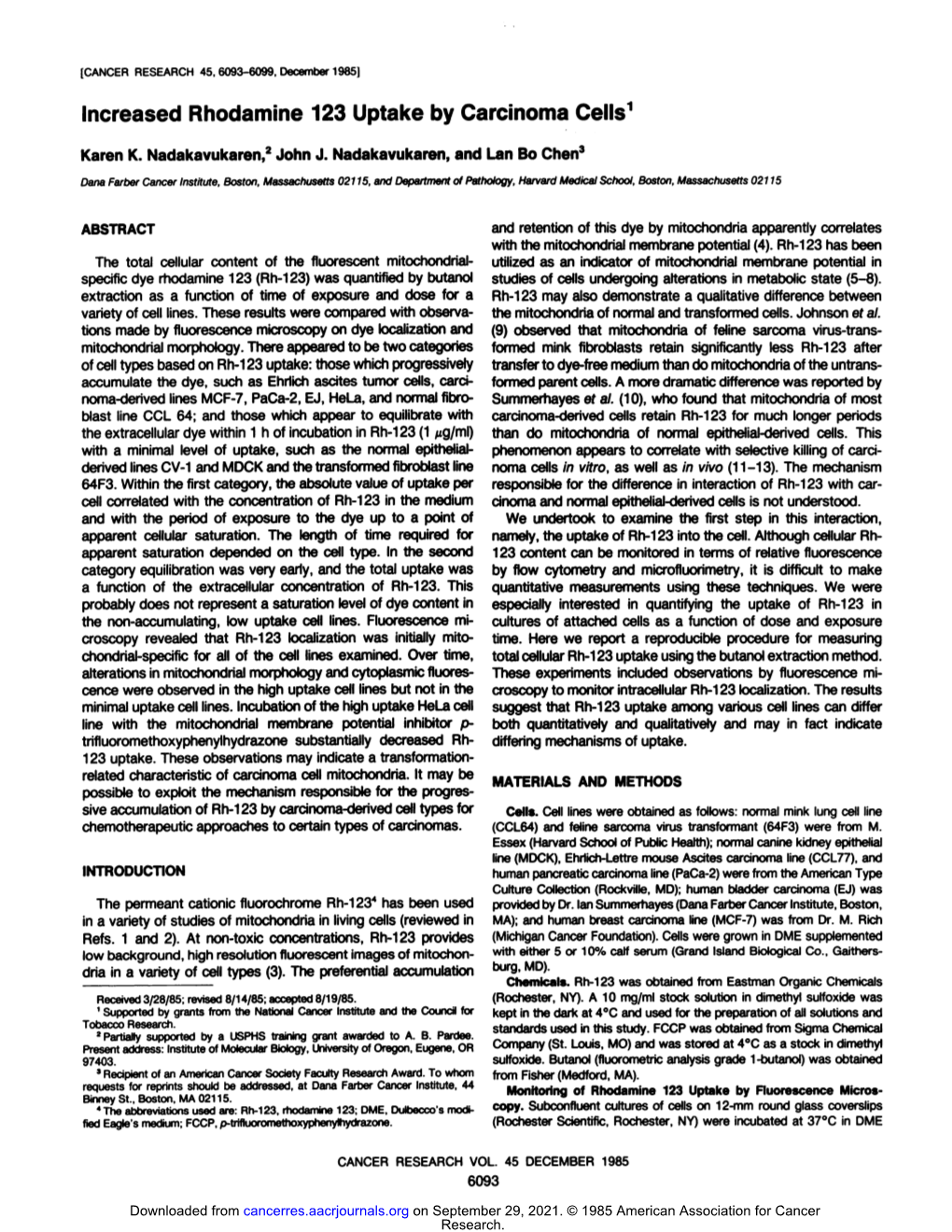 Increased Rhodamine 123 Uptake by Carcinoma Cells1