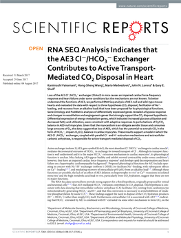 RNA SEQ Analysis Indicates That the AE3 Cl-/HCO3