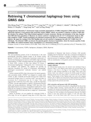 Retrieving Y Chromosomal Haplogroup Trees Using GWAS Data