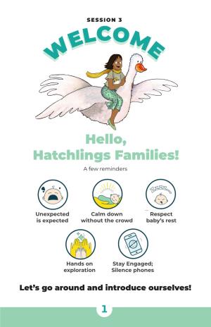 Hello, Hatchlings Families! a Few Reminders