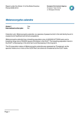 Melanocorypha Calandra