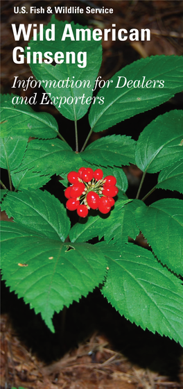 American Ginseng Information for Dealers and Exporters Dealers and Exporters Play an Important Role in Maintaining Healthy Populations of American Ginseng
