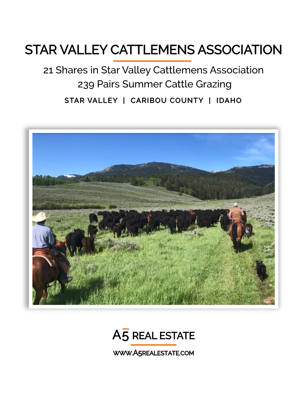 STAR VALLEY CATTLEMENS ASSOCIATION 21 Shares in Star Valley Cattlemens Association 239 Pairs Summer Cattle Grazing