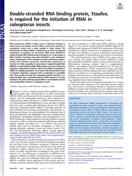 Double-Stranded RNA Binding Protein, Staufen, Is Required for the Initiation of Rnai in Coleopteran Insects