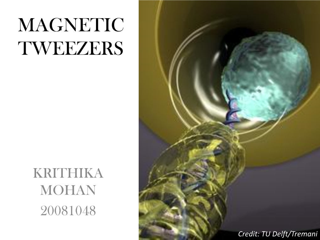 Magnetic Tweezers