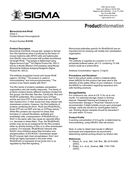 Monoclonal Anti-Rhoe Antibody Produced in Mouse (R6153