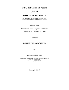 NI 43-101 Technical Report on the IRON LAKE PROPERTY