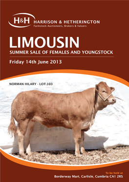 Limousin Summer Sale of Females and Youngstock