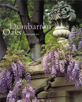 Dumbarton Oaks, Washington, D.C., Venice, St