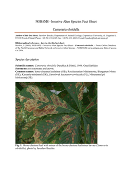 Invasive Alien Species Fact Sheet – Cameraria Ohridella