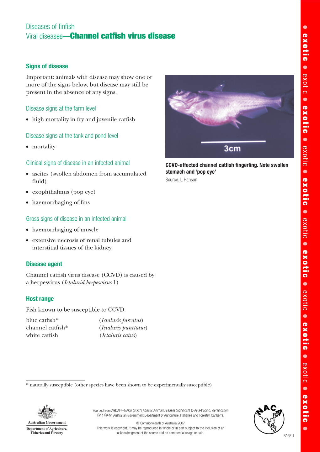 Channel Catfish Virus Disease.Pdf