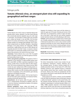 Tomato Chlorosis Virus, an Emergent Plant Virus Still Expanding Its Geographical and Host Ranges