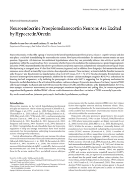 Neuroendocrine Proopiomelanocortin Neurons Are Excited by Hypocretin/Orexin